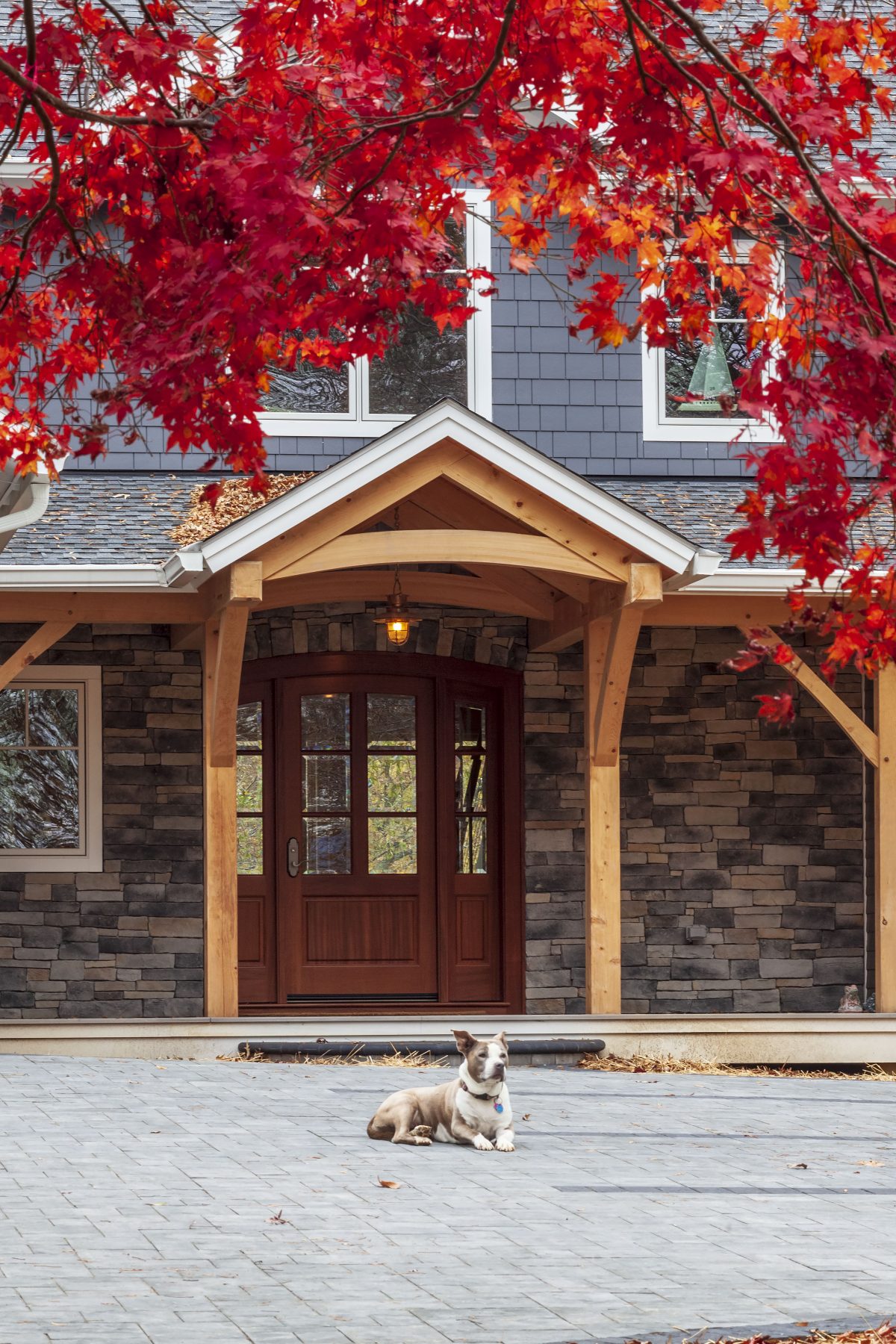 Top 5 Home Features for Pets
