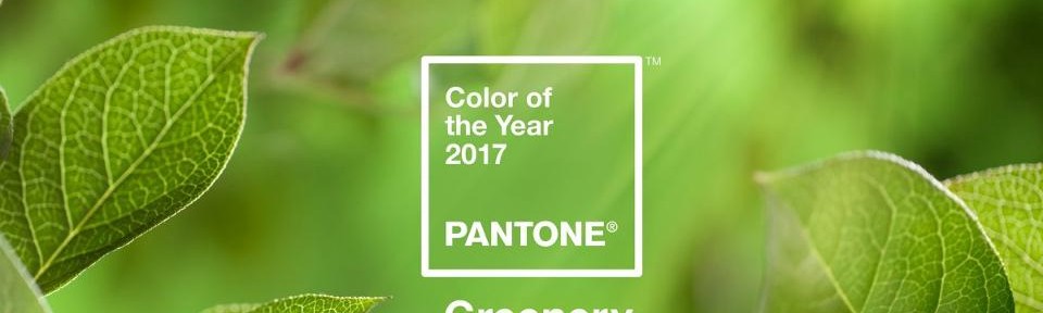 Have You Heard: Pantones 2017 Color of the year is here