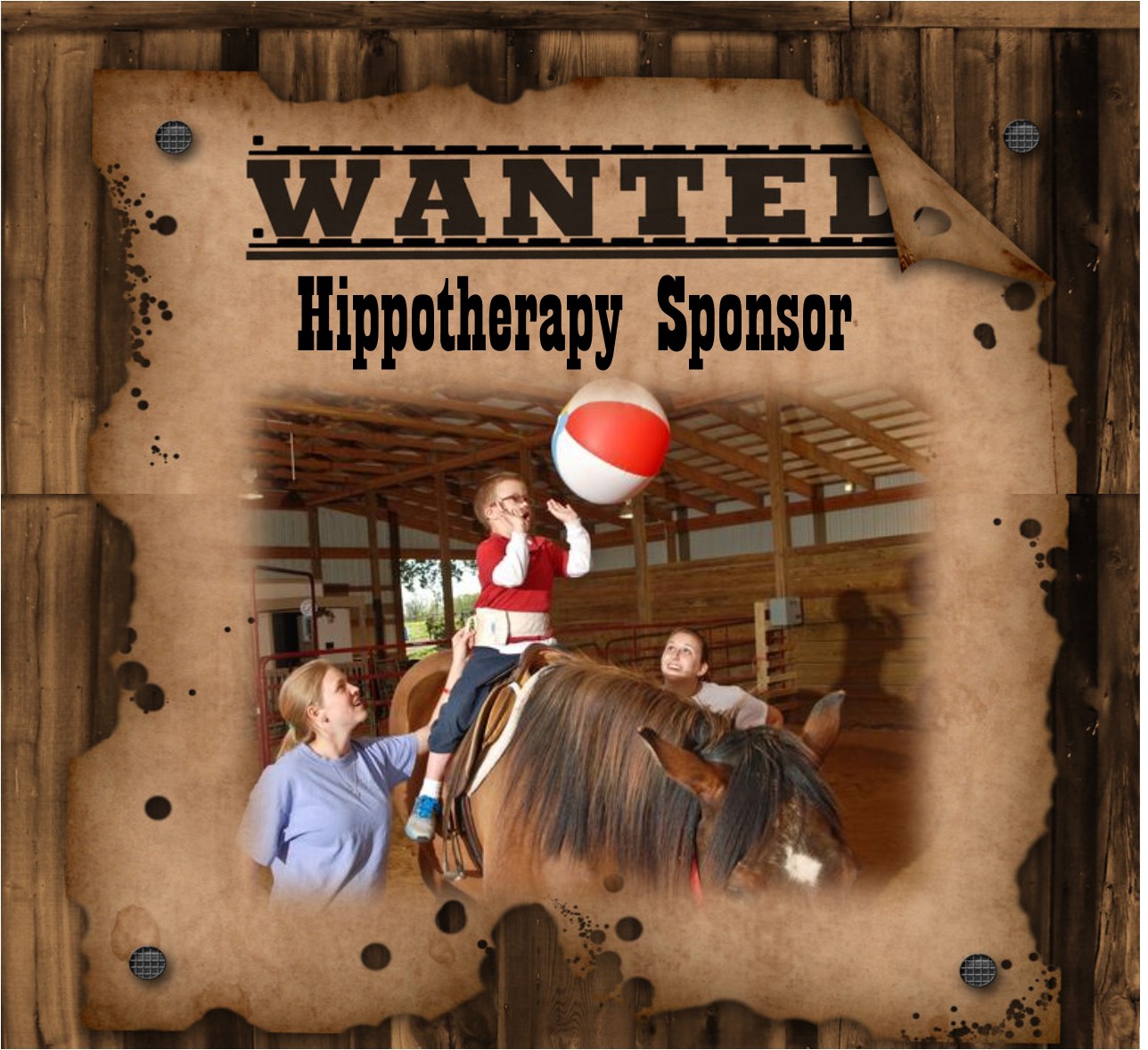 hippotherapy half page