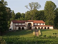 Running Hare Vineyard